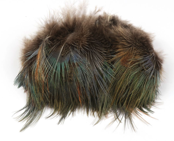 Strung Ringneck Rump Feathers Strung Ringneck Rump Feathers